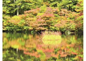 鶴間池