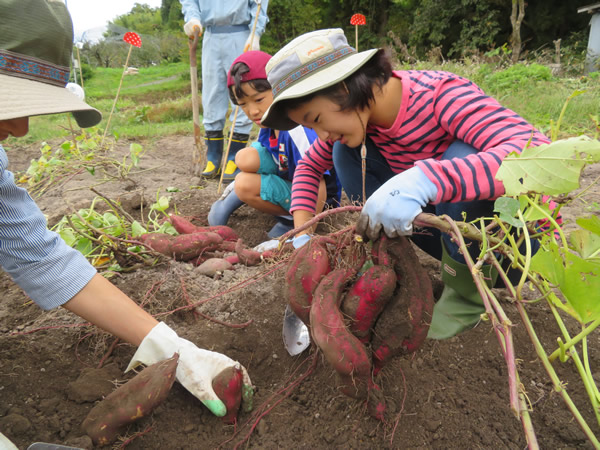 地域特産の秋野菜収穫体験や山形芋煮つくりで交流の集い