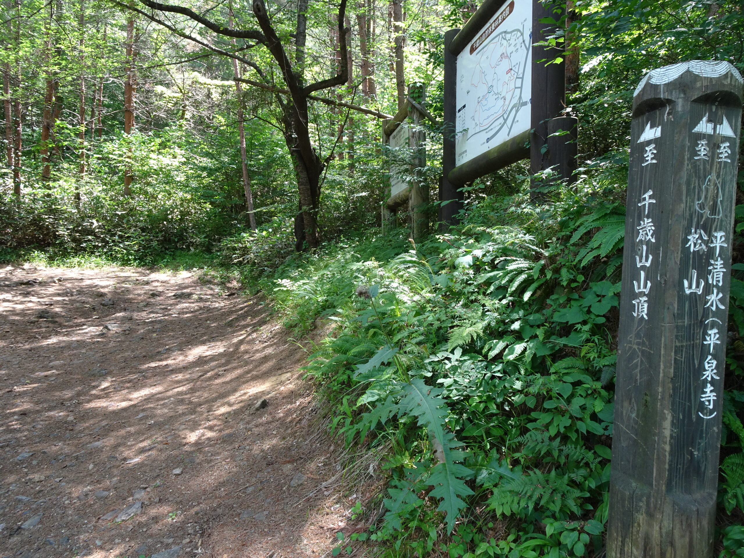 初夏の千歳山